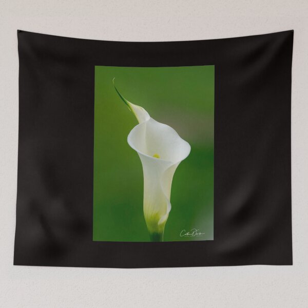 Item preview, Calla Lily designed and sold by CathsImages.