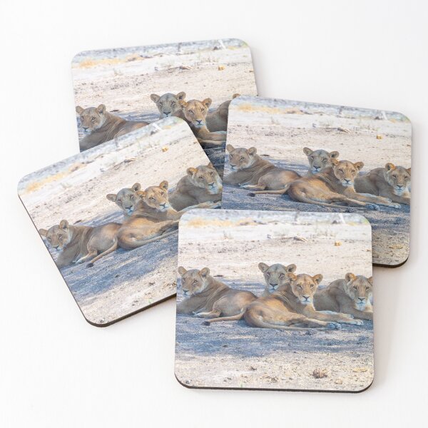 Item preview, Four Lionesses Shading Themselves designed and sold by SafariByMarisa.