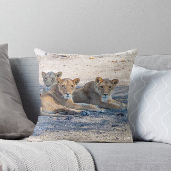 Item preview, Four Lionesses Shading Themselves designed and sold by SafariByMarisa.