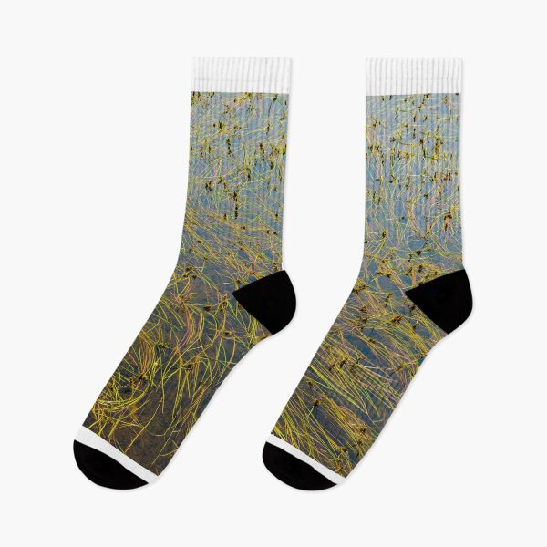 Item preview, Lake Water Reeds designed and sold by oz10.