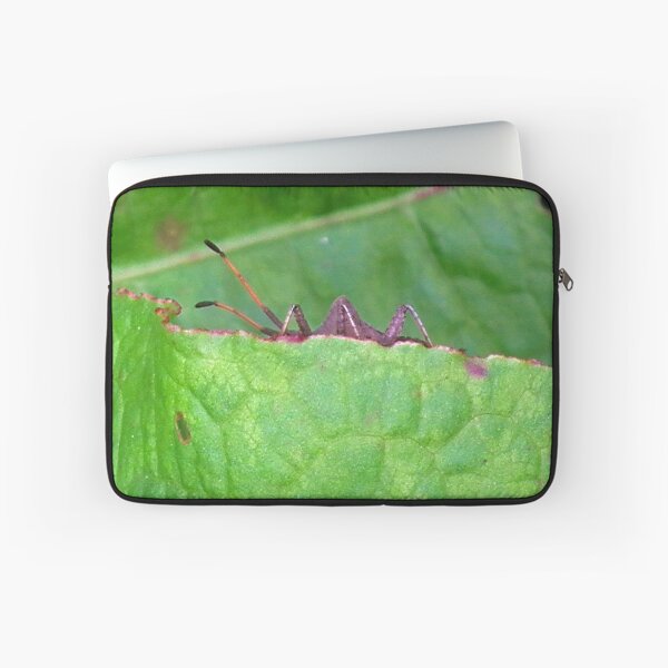 Item preview, Monster Bug ............ designed and sold by lynn carter.