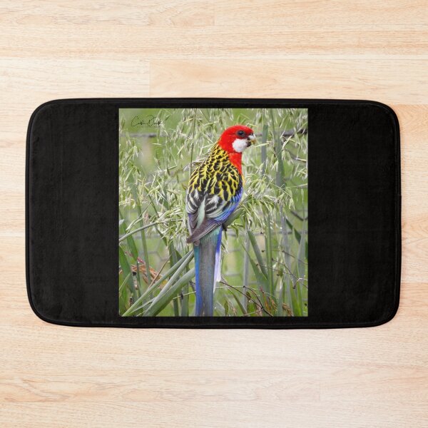 Item preview, Eastern Rosella designed and sold by CathsImages.