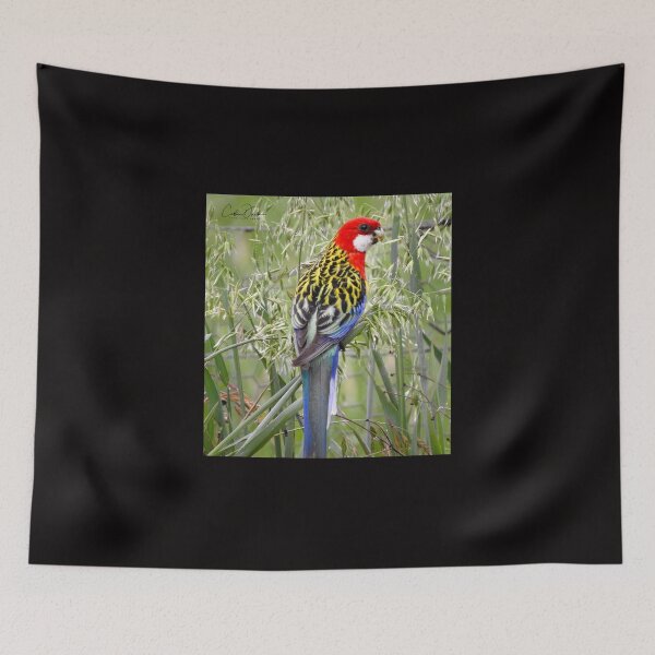 Item preview, Eastern Rosella designed and sold by CathsImages.