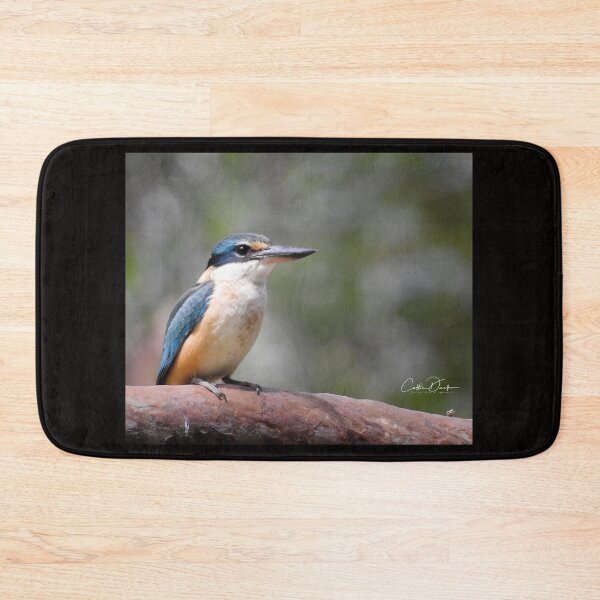 Item preview, Sacred Kingfisher designed and sold by CathsImages.