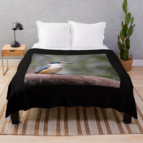 Item preview, Sacred Kingfisher designed and sold by CathsImages.