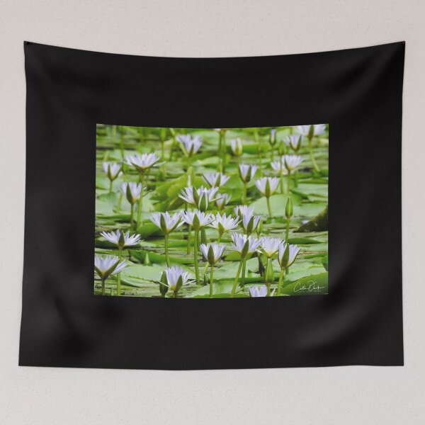 Item preview, Lily Pad's  designed and sold by CathsImages.