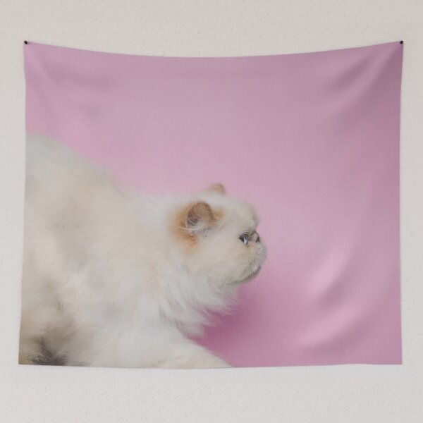 Item preview, Lord Aries Cat designed and sold by anafrancisconi.