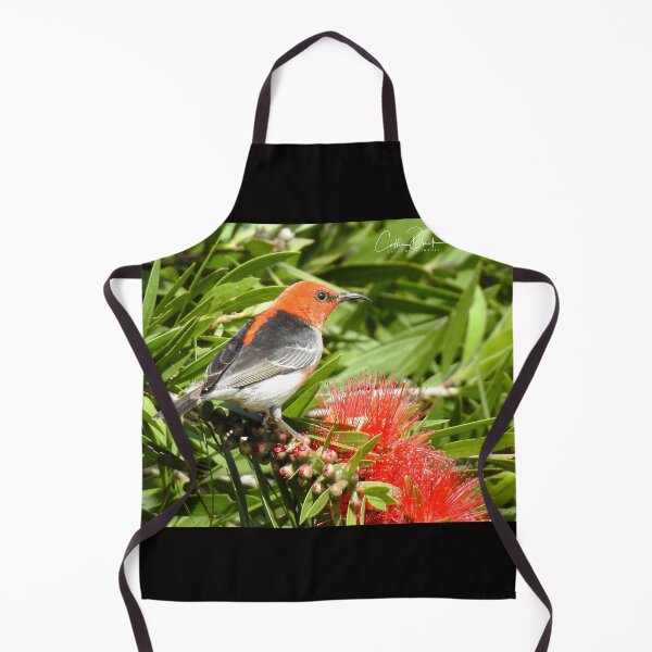 Item preview, Scarlet Honeyeater designed and sold by CathsImages.