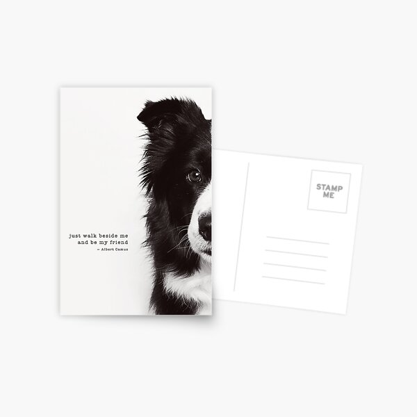 Flicker Postcard