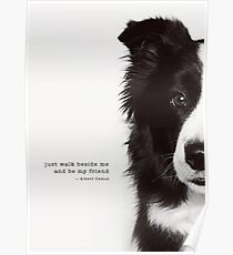 Flicker Poster