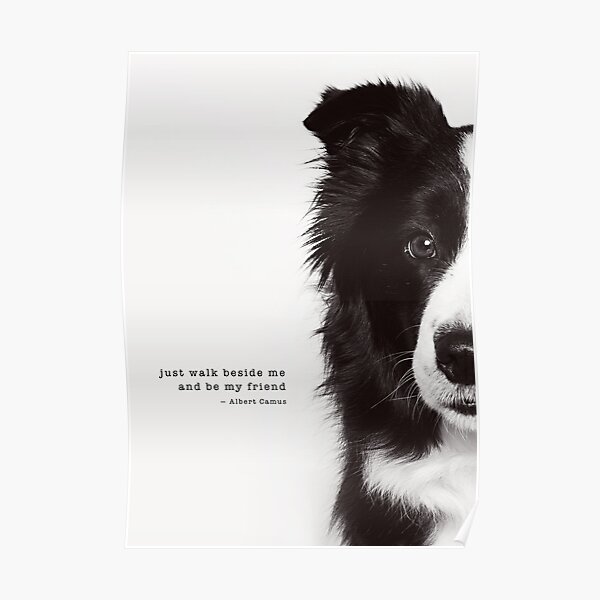Flicker Poster