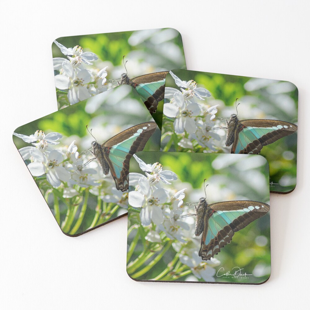 Item preview, Coasters (Set of 4) designed and sold by CathsImages.