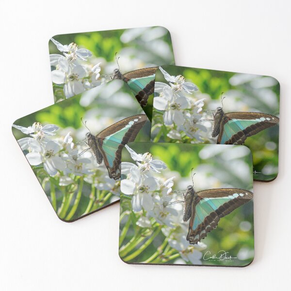 Item preview, Blue Triangle Butterfly designed and sold by CathsImages.
