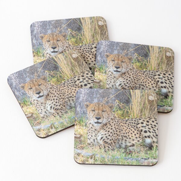 Item preview, Cheetah in Moremi Game Reserve, Botswana designed and sold by SafariByMarisa.