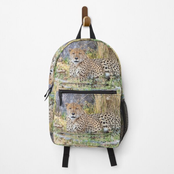 Item preview, Cheetah in Moremi Game Reserve, Botswana designed and sold by SafariByMarisa.