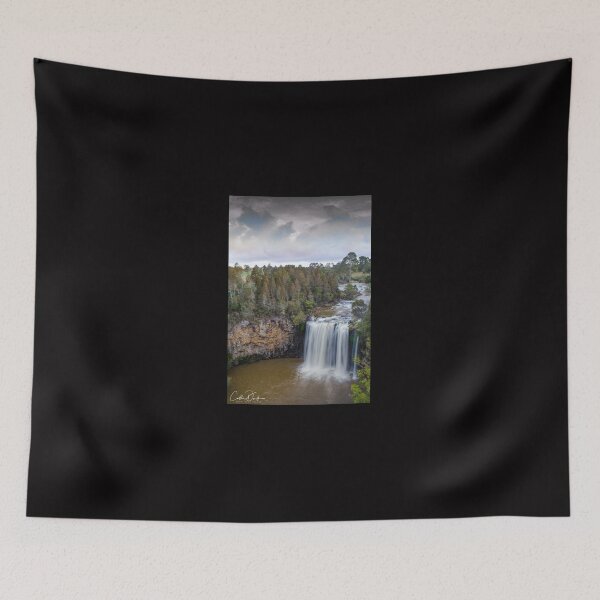 Item preview, Dangar Falls Dorrigo designed and sold by CathsImages.