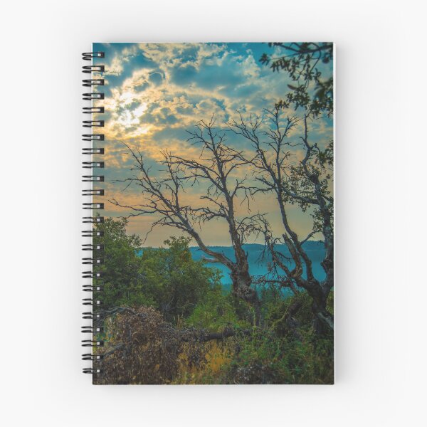 Item preview, Stanislaus Valley designed and sold by oz10.