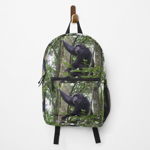Item preview, Chimpanzee in Kibaei Forest National Park, Uganda designed and sold by SafariByMarisa.