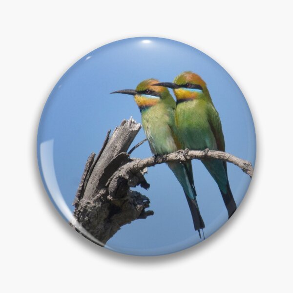 Item preview, Rainbow Bee Eaters designed and sold by CathsImages.