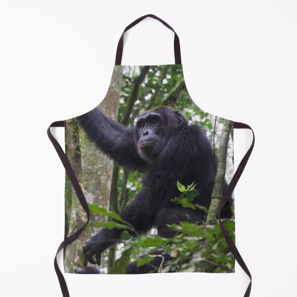 Item preview, Chimpanzee in Kibaei Forest National Park, Uganda designed and sold by SafariByMarisa.