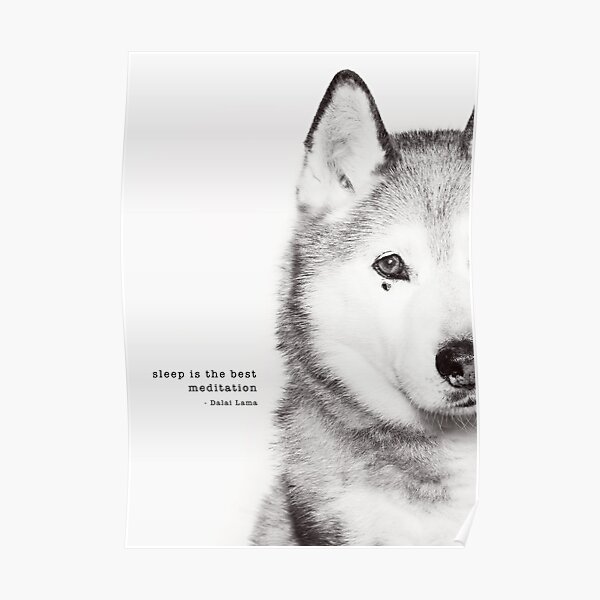 Nev Poster