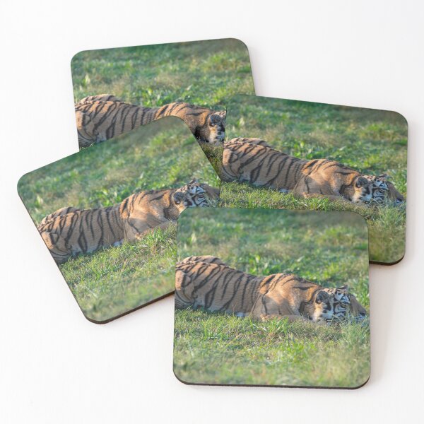 Item preview, Siberian Tiger crouching in the grass designed and sold by oz10.