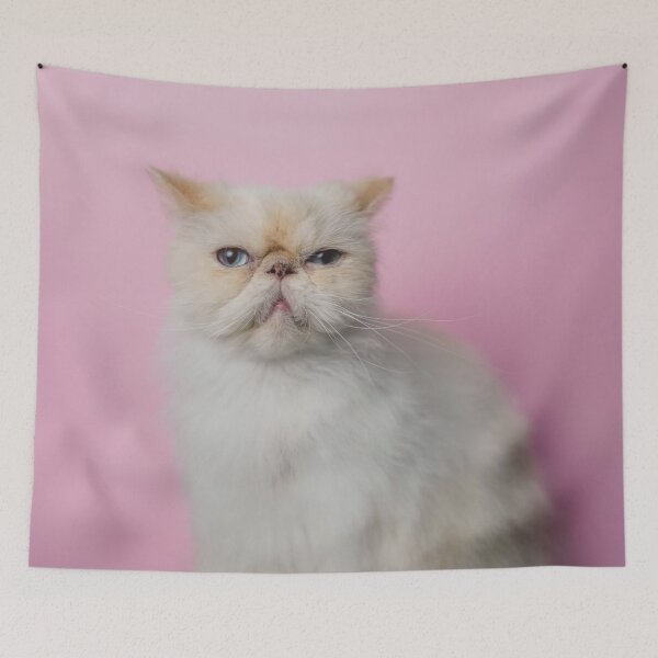 Item preview, Lord Aries Cat designed and sold by anafrancisconi.