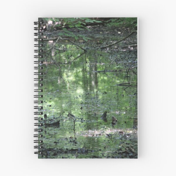 Item preview, Forest reflected in standing water designed and sold by HappyThoughts85.