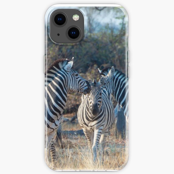 Zebra Herd in Moremi Game Reserve, Botswana iPhone Soft Case