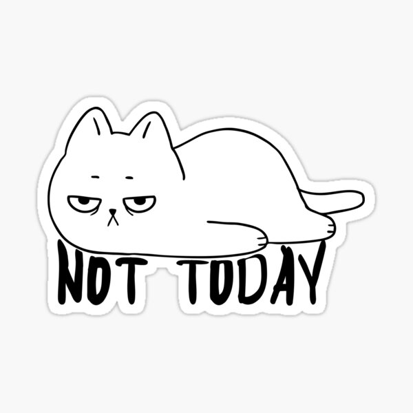 Cat not today hotsell