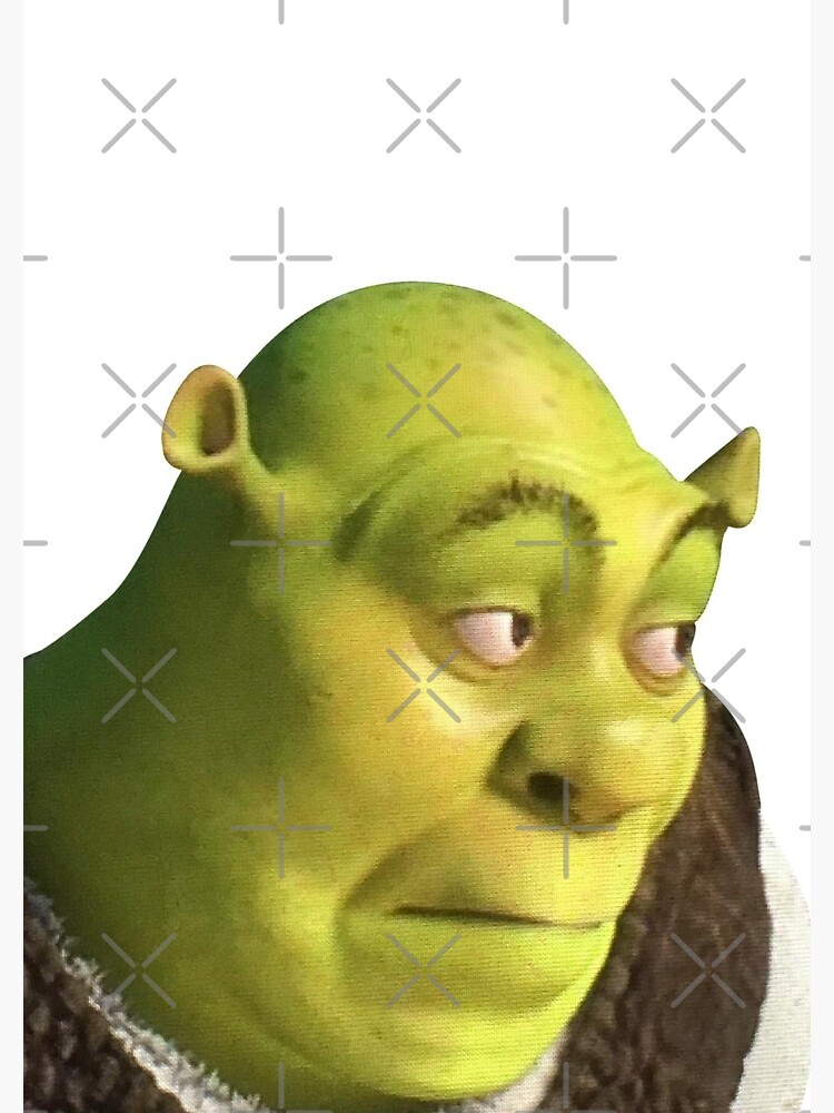 Dois Shrek 4 u, meme shrek papel de parede HD