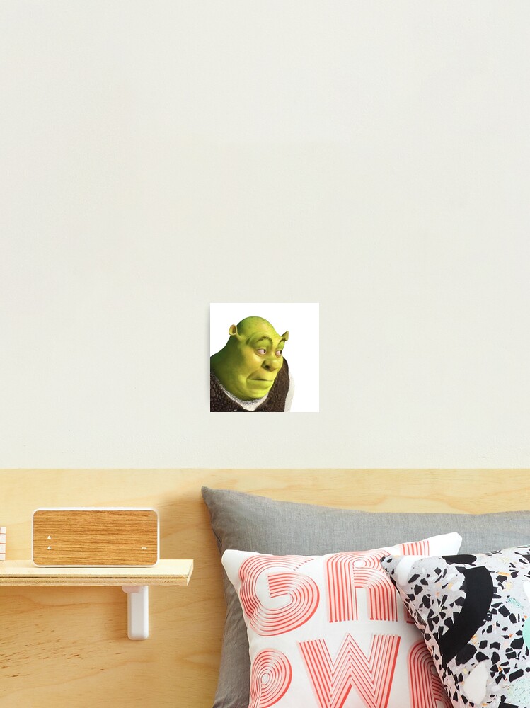 Shrek meme Throw Pillow for Sale by Pulte