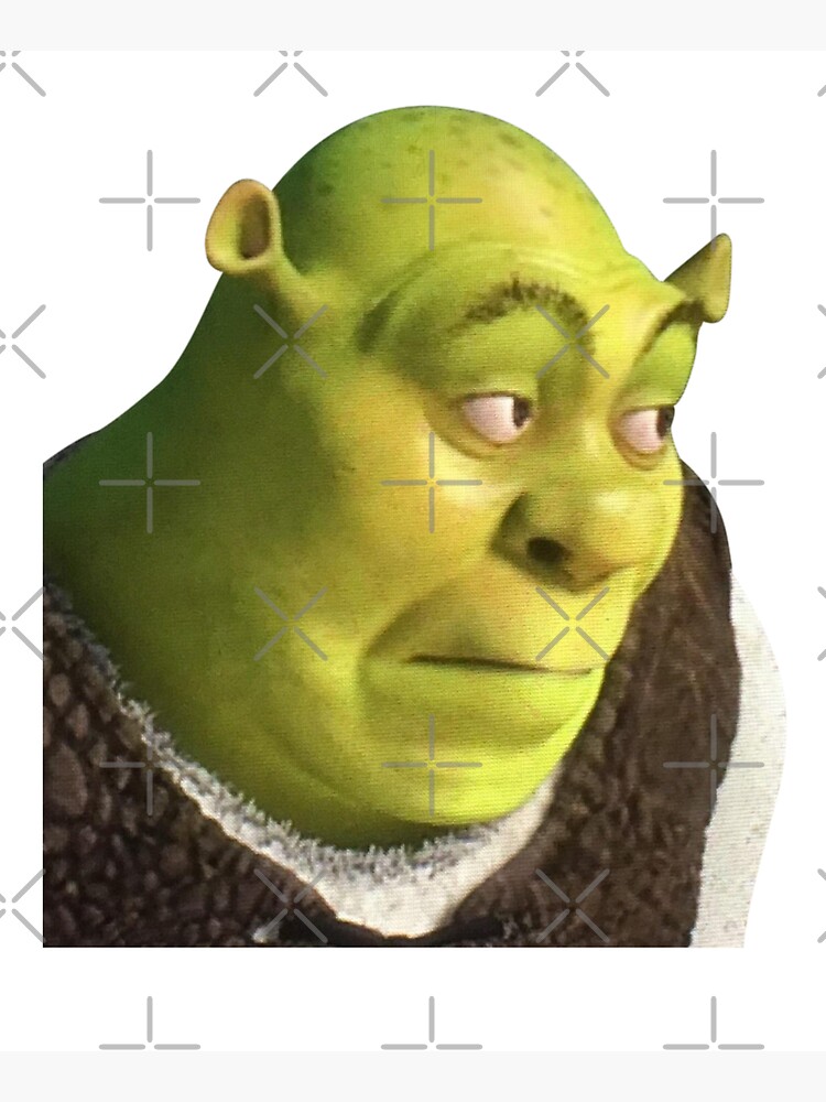 Shrek Face Meme Photographic Print for Sale by mylifeasgaia