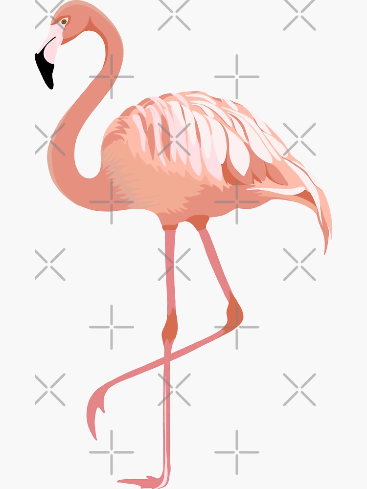 Flamingo Sticker for Sale by cait-shaw