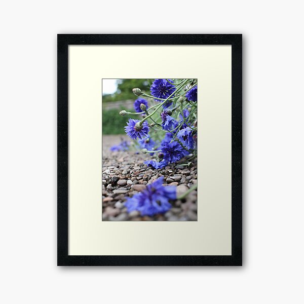 Garden Blooms Framed Art Print