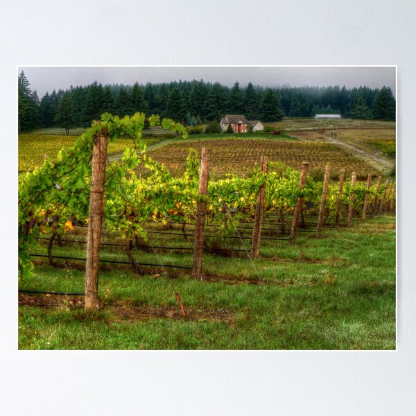 Item preview, House On The Hill ~ Grape Vineyard ~ designed and sold by Charles & Patricia   Harkins ~ Picture Oregon.