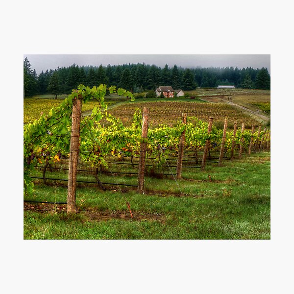 Item preview, House On The Hill ~ Grape Vineyard ~ designed and sold by Charles & Patricia   Harkins ~ Picture Oregon.