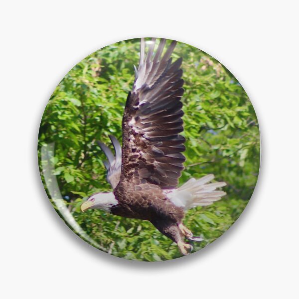 Item preview, Bald Eagle Flaunting His Wings designed and sold by patti4glory.