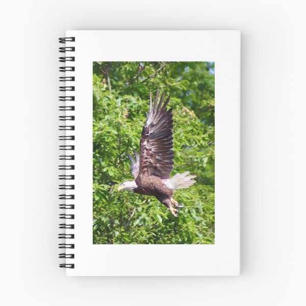 Item preview, Bald Eagle Flaunting His Wings designed and sold by patti4glory.