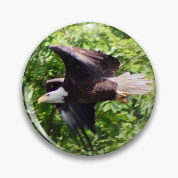 Item preview, Bald Eagle In Flight designed and sold by patti4glory.