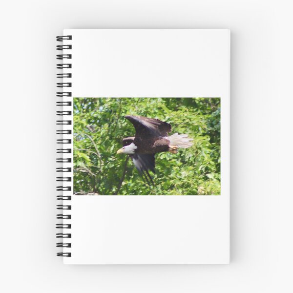 Item preview, Bald Eagle In Flight designed and sold by patti4glory.