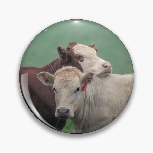 Item preview, Best Friends designed and sold by CathsImages.