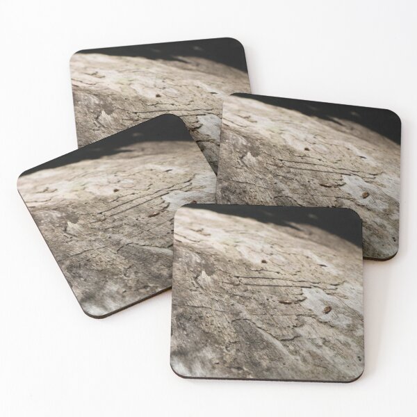 Item preview, Smooth wood texture of fallen tree designed and sold by HappyThoughts85.