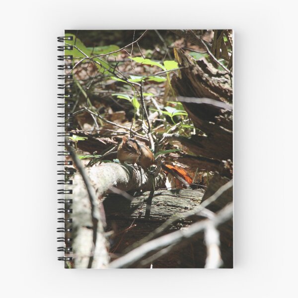 Item preview, Chipmunk on a branch designed and sold by HappyThoughts85.