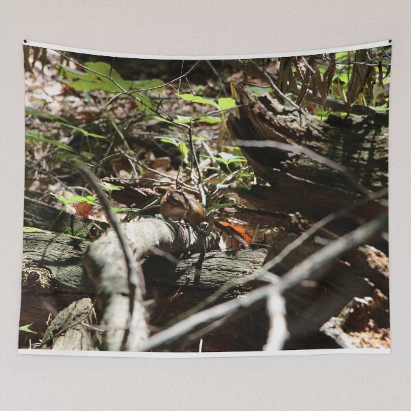 Item preview, Chipmunk on a branch designed and sold by HappyThoughts85.