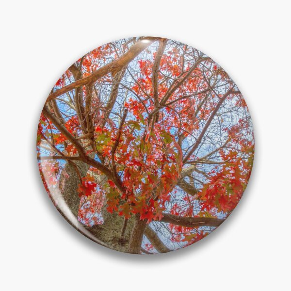 Item preview, Looking up Lovely leaves..... designed and sold by mitpjenkeating.