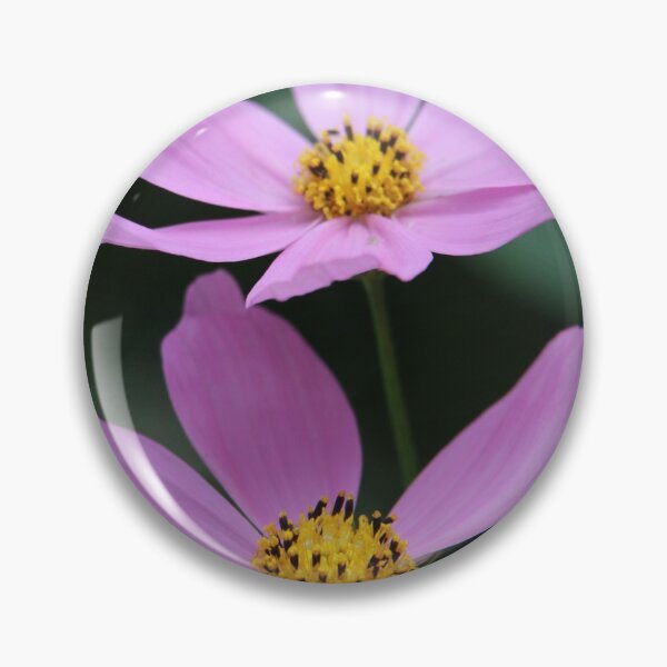 Item preview, Two pink cosmos flowers designed and sold by HappyThoughts85.