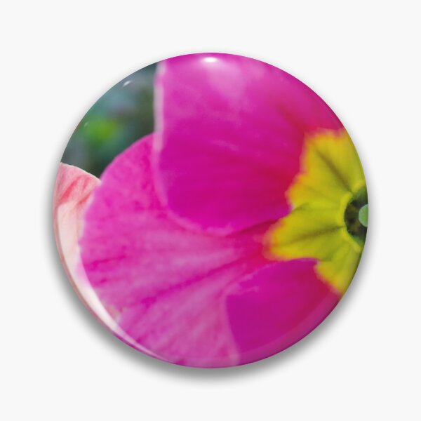 Item preview, Polyanthus designed and sold by Allport Photography.