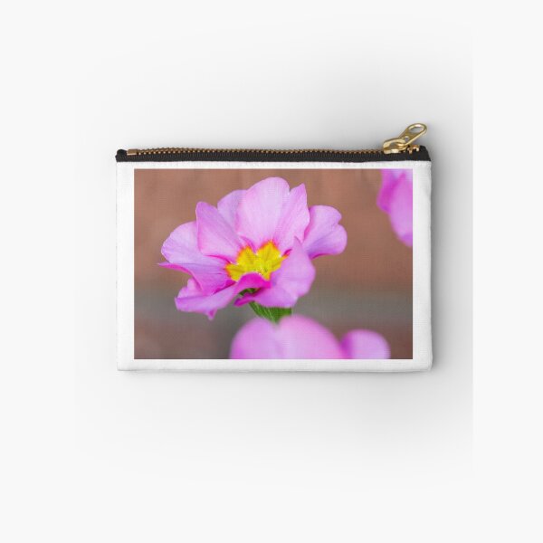 Item preview, Pol designed and sold by Allport Photography.
