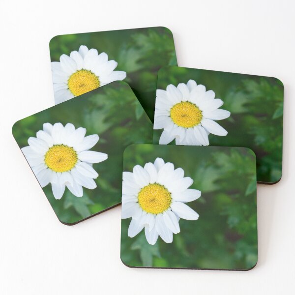 Item preview, Chysanthemum designed and sold by Allport Photography.